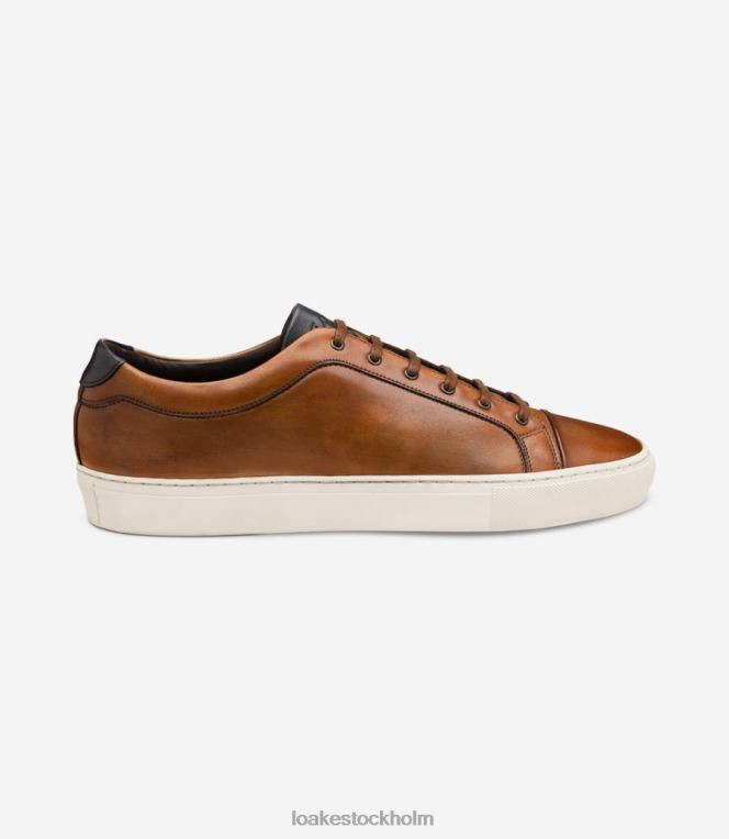 Loake rusa sneakers och sneakers Kastanjebrun X288N28